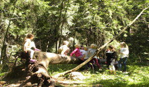 Skogstur