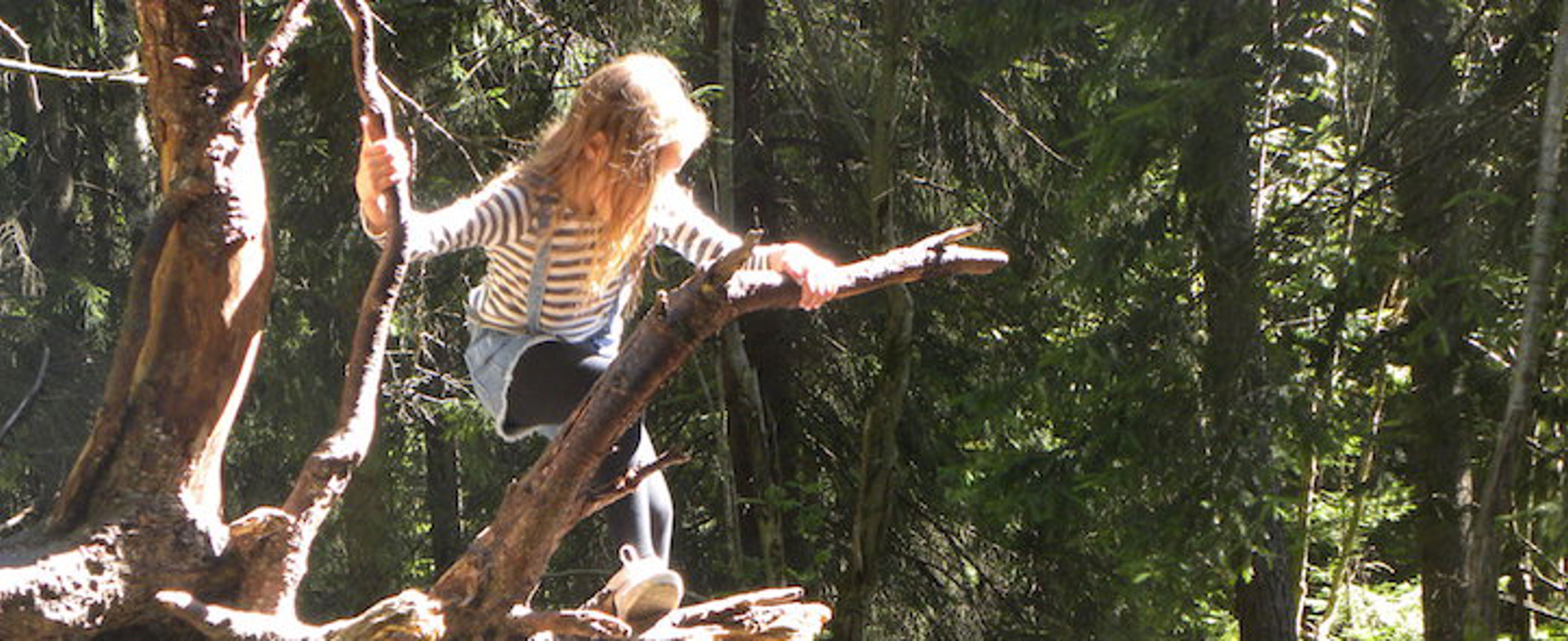 Skogstur