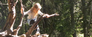 Skogstur