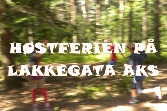 en gruppe mennesker som løper i en skog