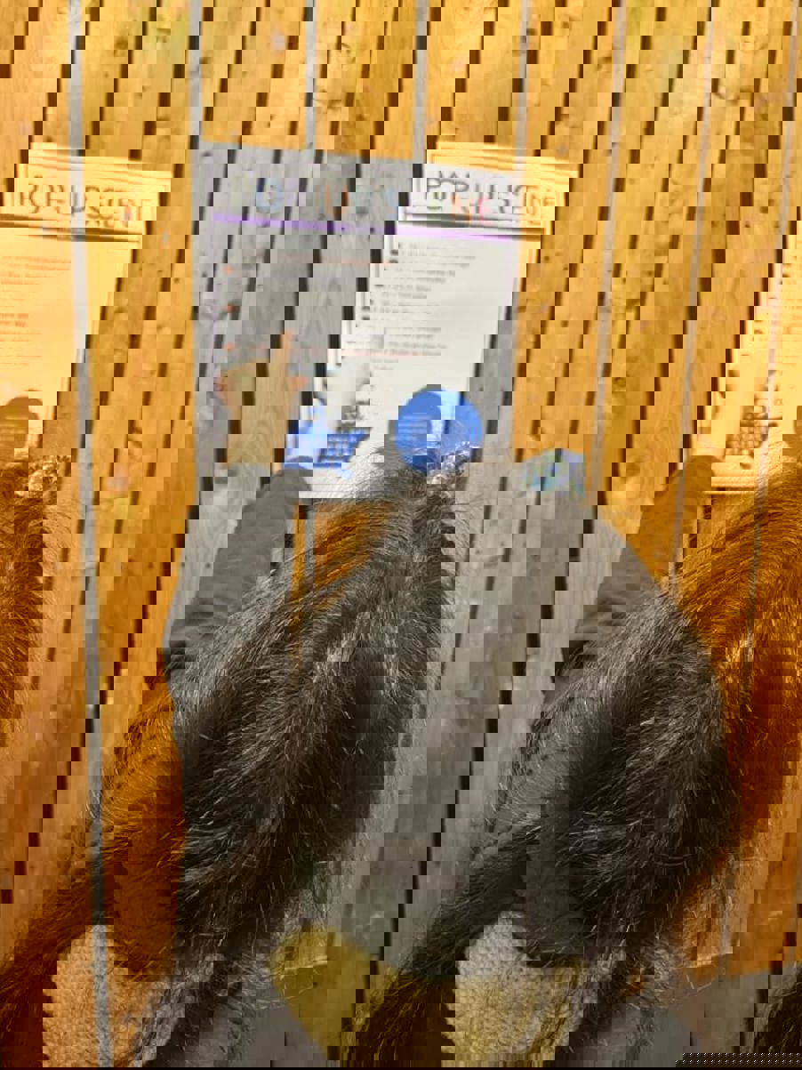 en person som holder et tegn