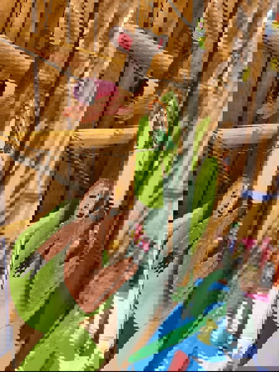 et treleketøy fra et tau