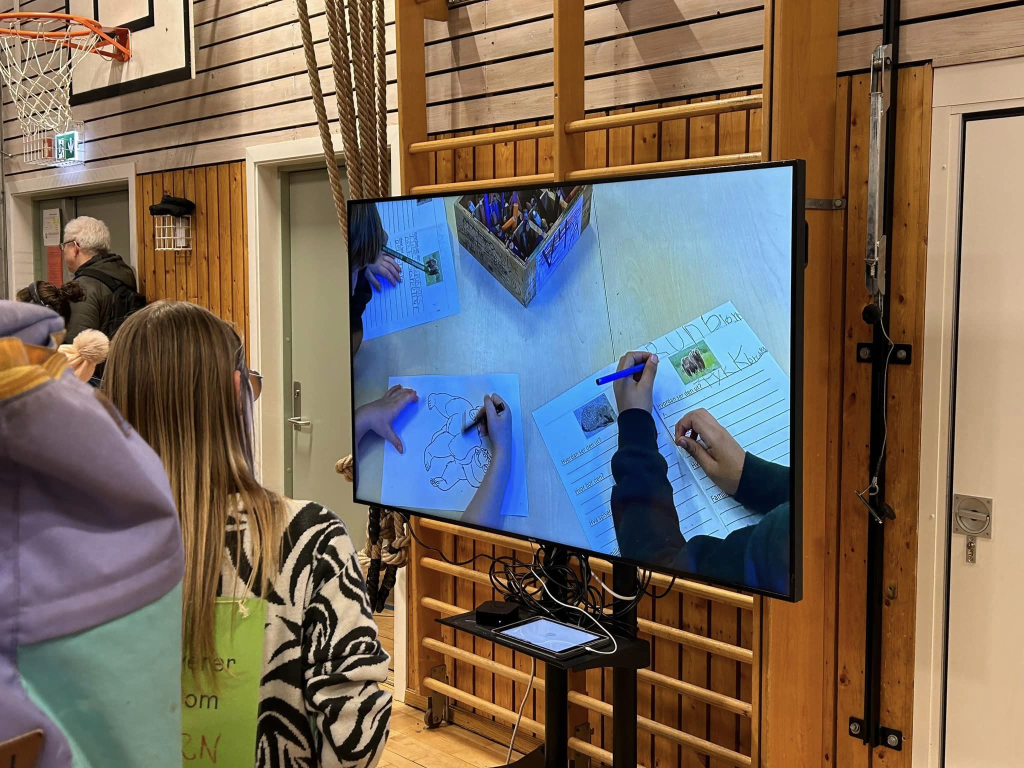 en person som ser på en skjerm