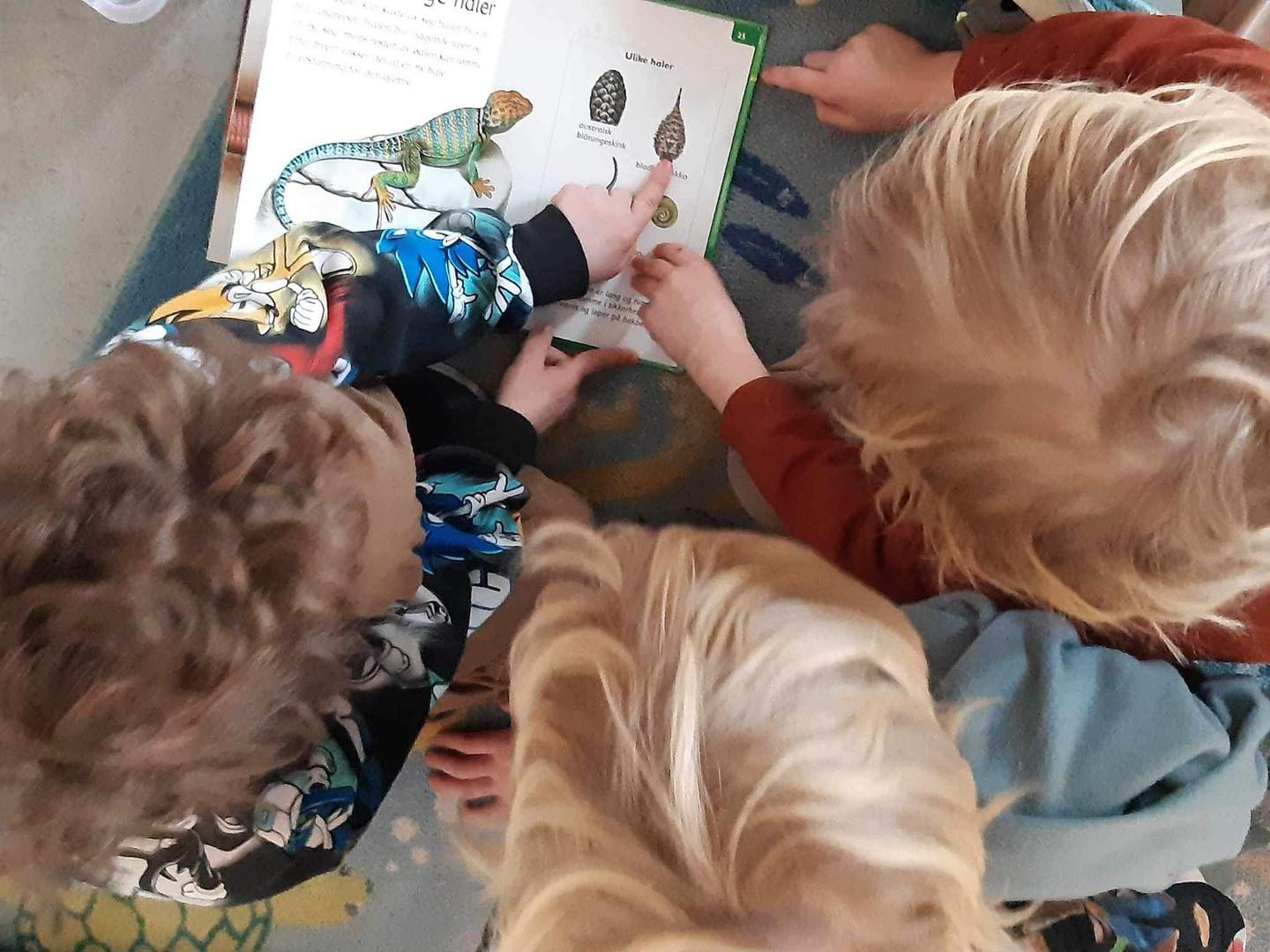 En gruppe mennesker som leser en bok