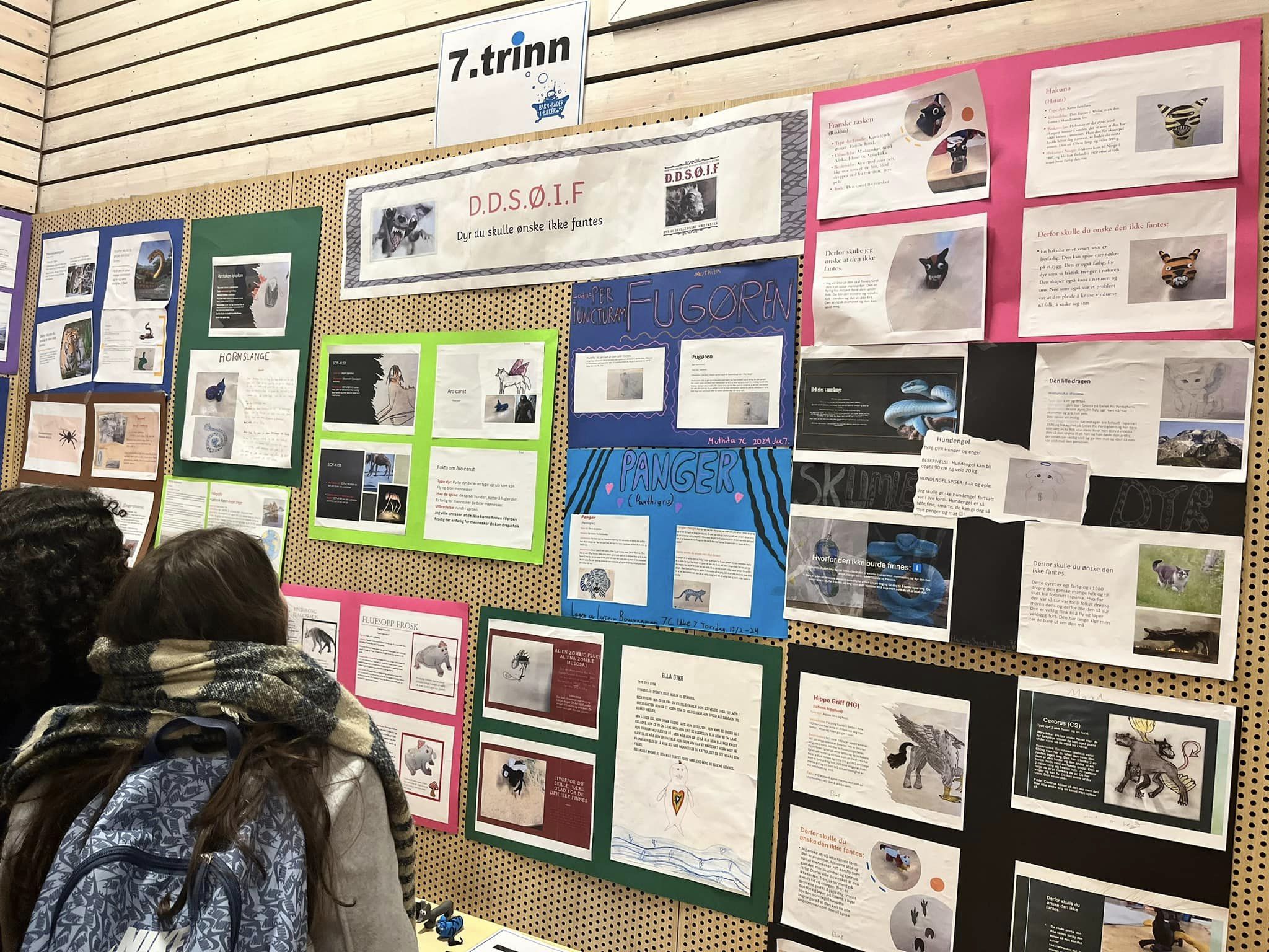 grafisk brukergrensesnitt, nettsted